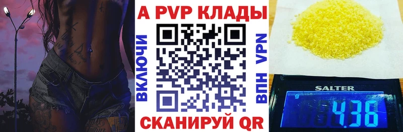 A PVP СК  Тайга 