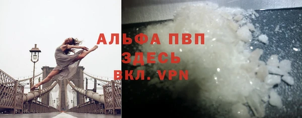 прущие грибы Новочеркасск