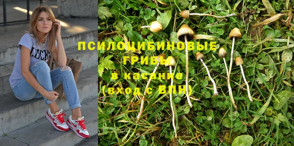 гашик Абаза