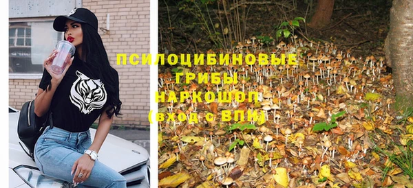 дживик Абинск